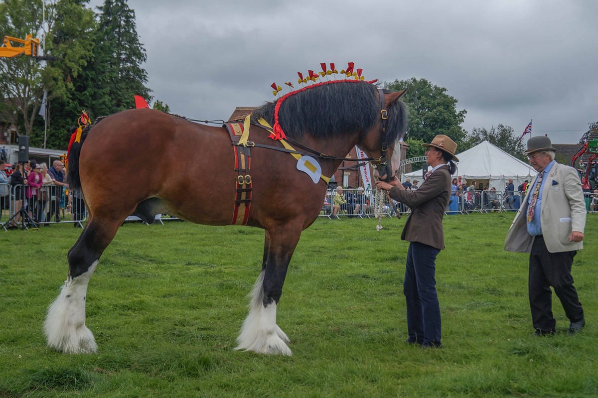 great-eccleston-show-2023-discover-wyre